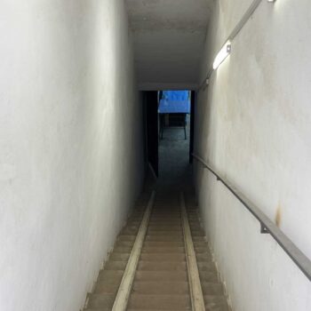 viber_image_2026-03-24_14-25-46-483